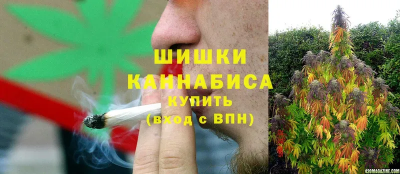 Марихуана THC 21%  продажа наркотиков  Арсеньев 